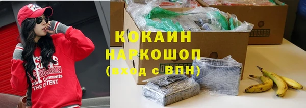 PSILOCYBIN Алзамай