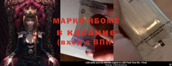 PSILOCYBIN Алзамай